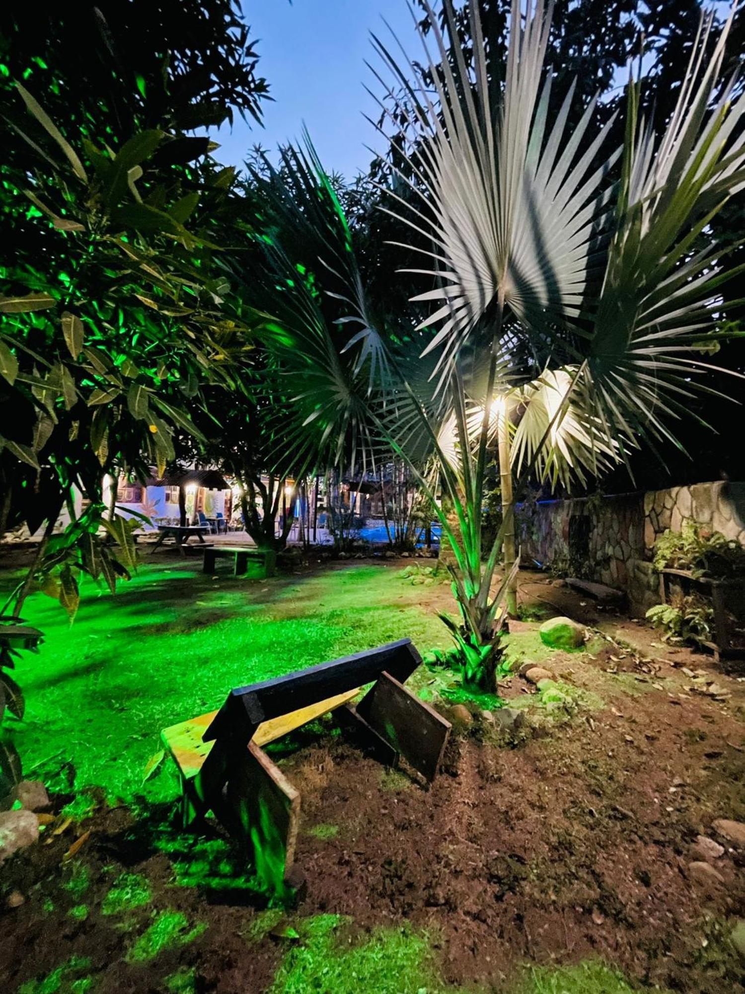 Hostal Luz De Luna Palomino Ngoại thất bức ảnh