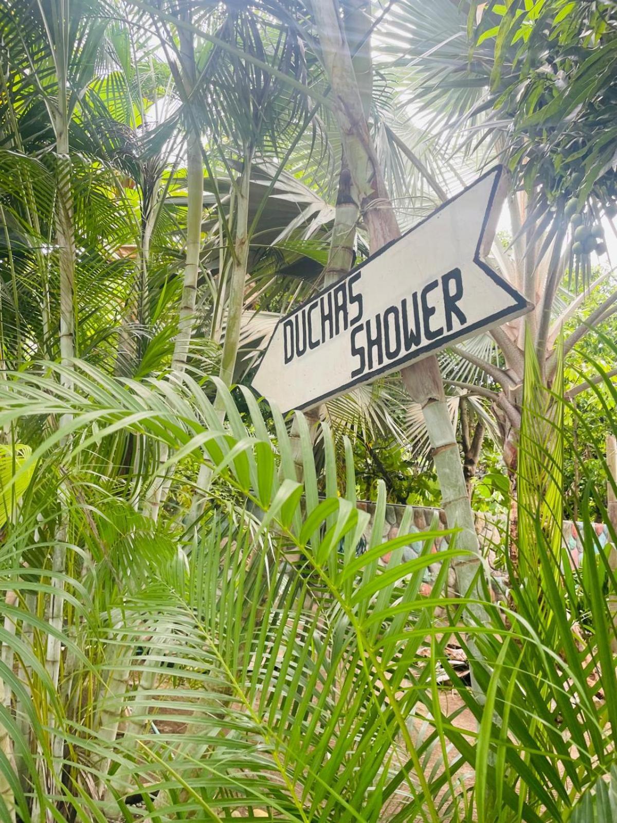 Hostal Luz De Luna Palomino Ngoại thất bức ảnh