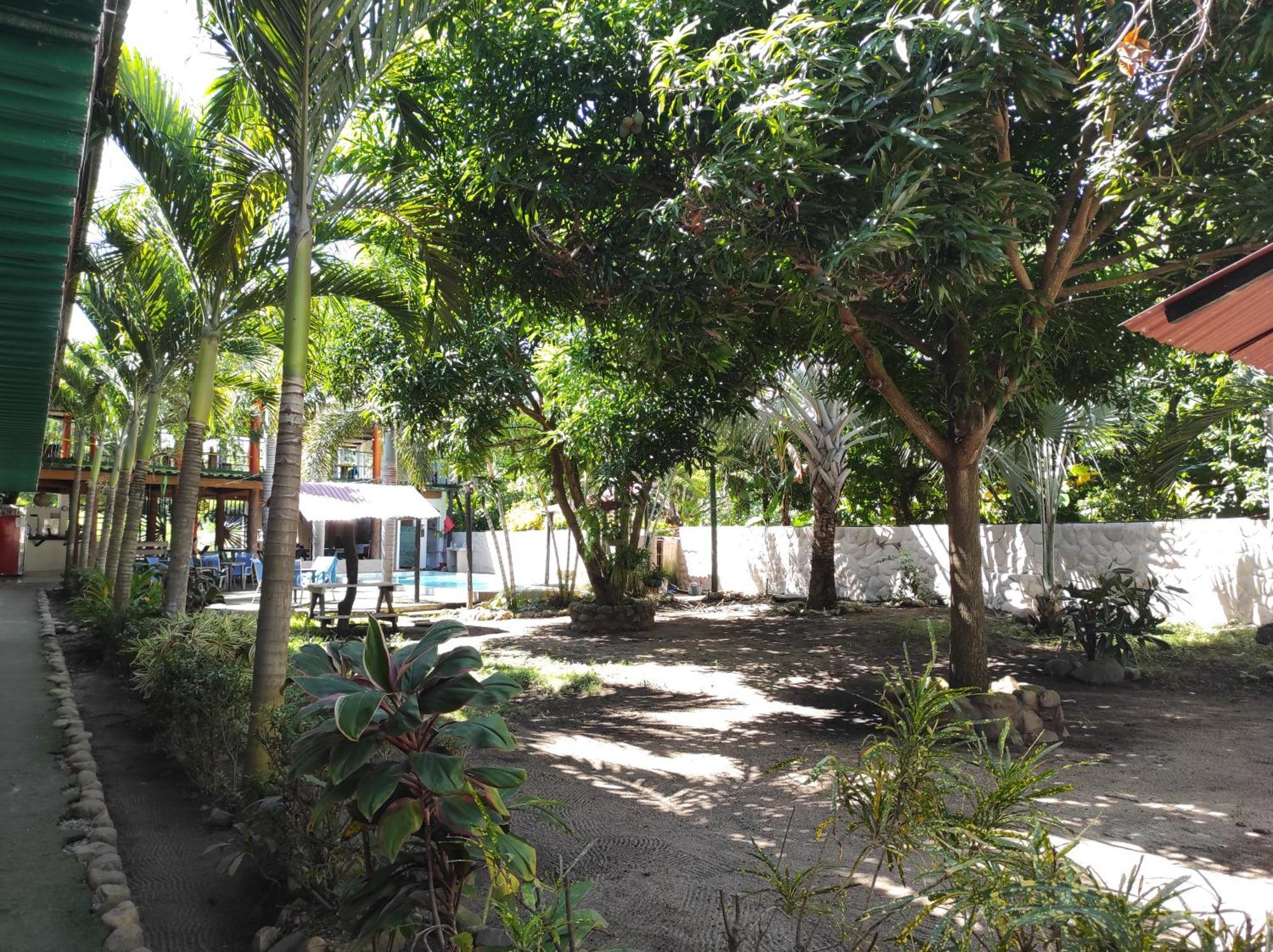 Hostal Luz De Luna Palomino Ngoại thất bức ảnh