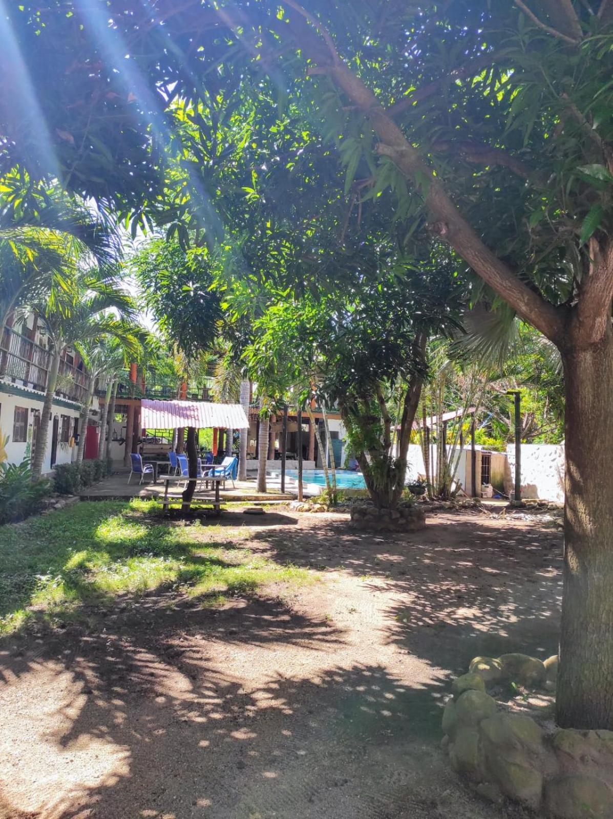 Hostal Luz De Luna Palomino Ngoại thất bức ảnh