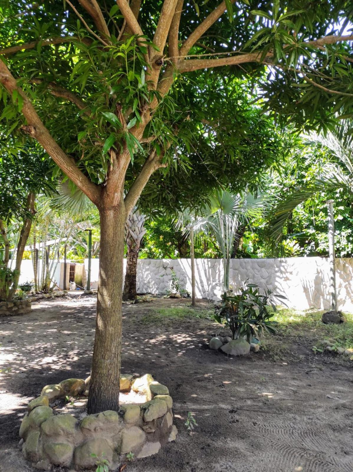 Hostal Luz De Luna Palomino Ngoại thất bức ảnh